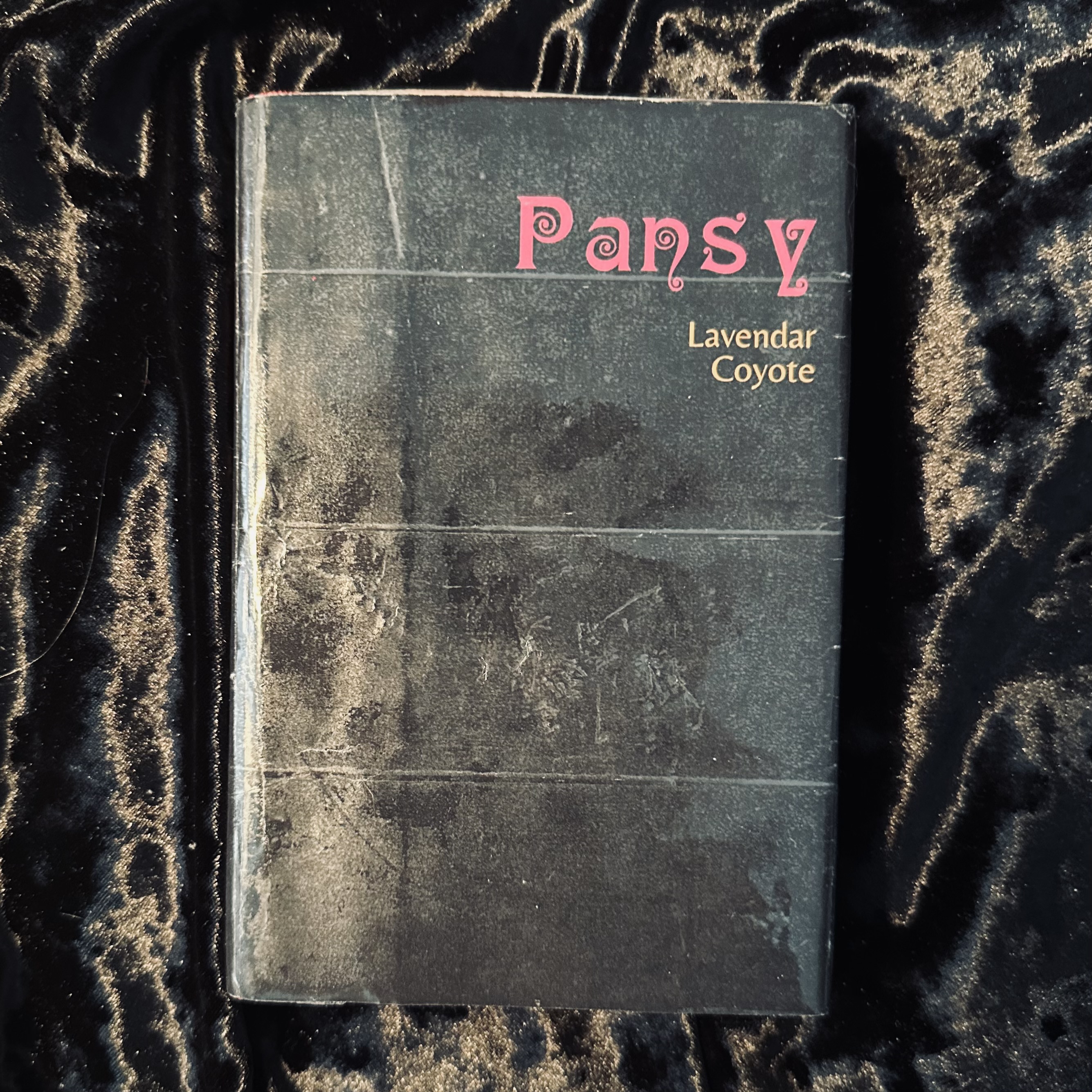 Pansy, a short story collection by Geoffrey Bridgman.